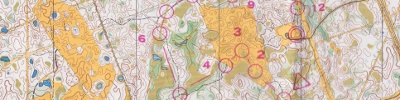 APOC 1990 Day 4 - North American Champs